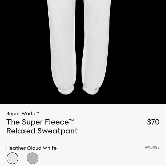 IN SEARCH OF ARITZIA SUPER WORLD SWEATPANT - Picture 4 of 4